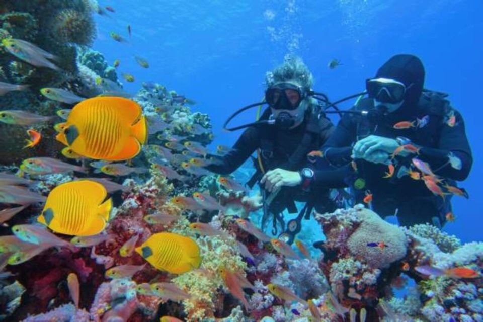 4 Day Padi Open Water Diving Course in Sinai